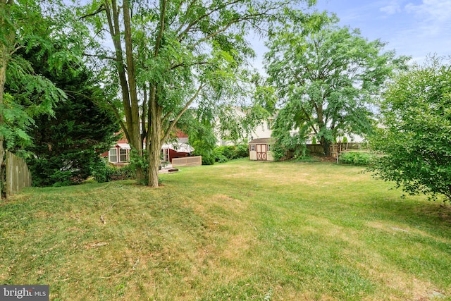 view of yard with a storage unit