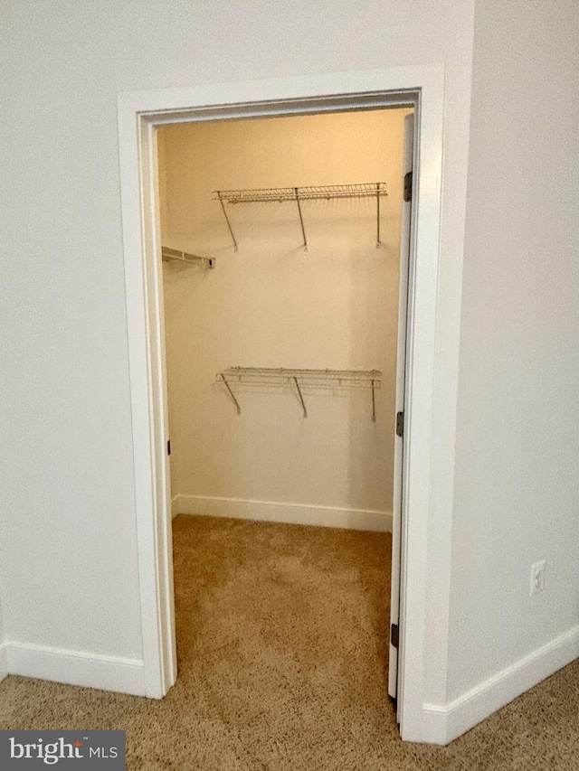 walk in closet with carpet flooring