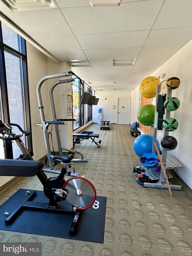 gym featuring a drop ceiling, carpet floors, and plenty of natural light