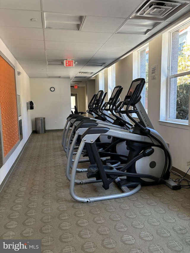 exercise room featuring a paneled ceiling and carpet