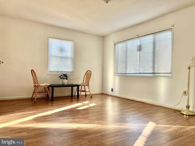 living area featuring hardwood / wood-style flooring