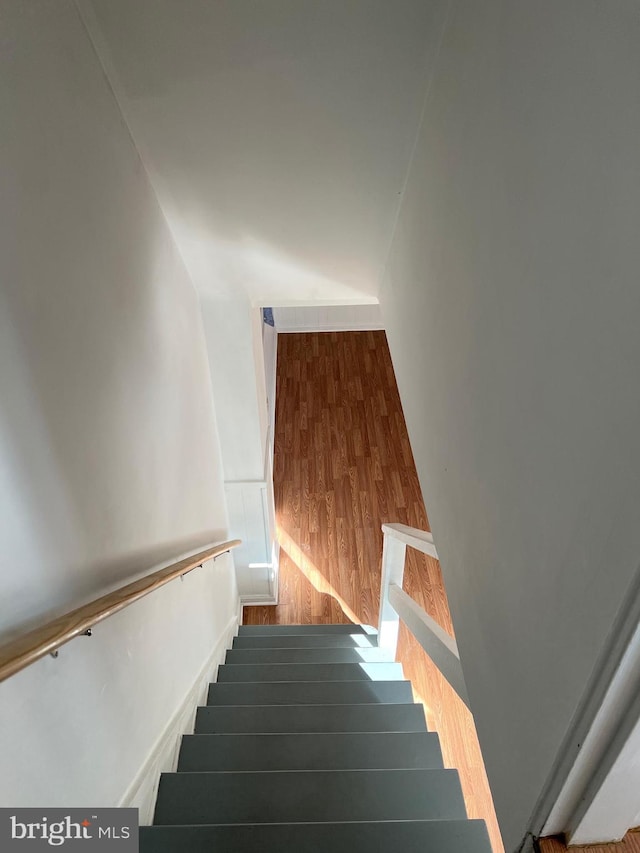 staircase featuring wood-type flooring