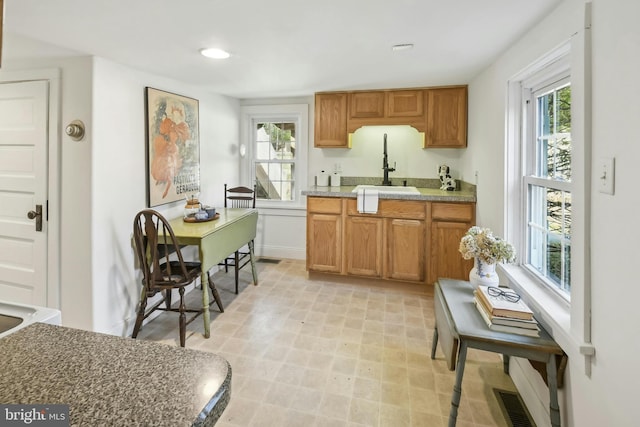 kitchen with sink and a healthy amount of sunlight