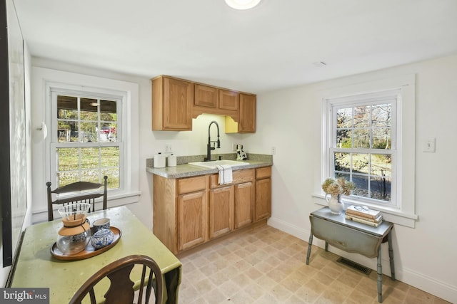 kitchen with plenty of natural light and sink