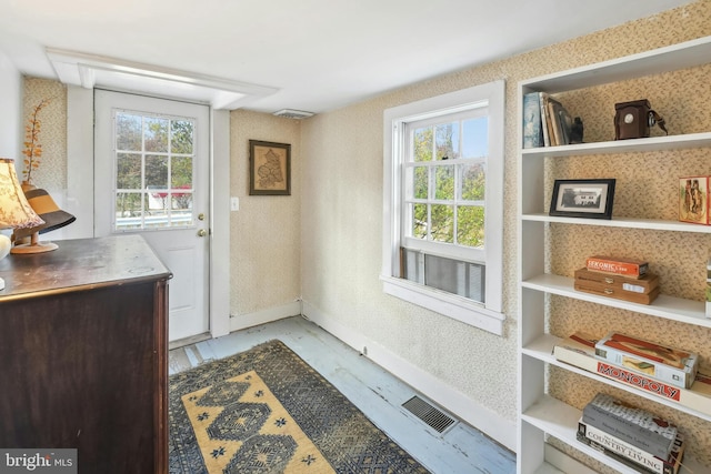 entryway featuring a wealth of natural light and light hardwood / wood-style floors