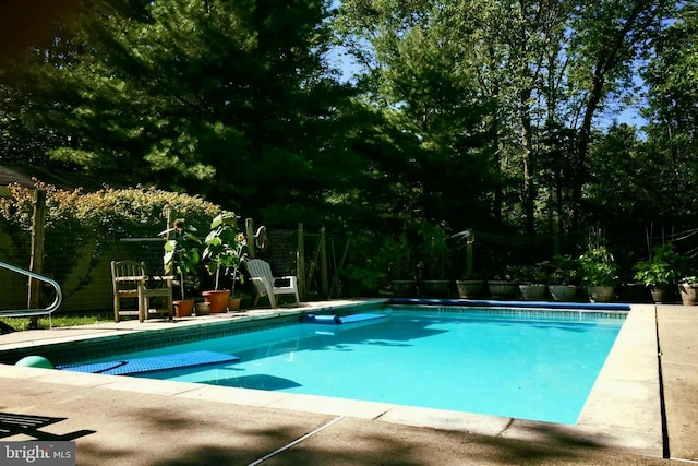 view of pool featuring a patio