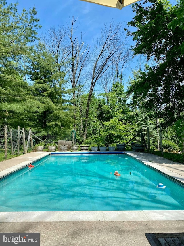 view of swimming pool