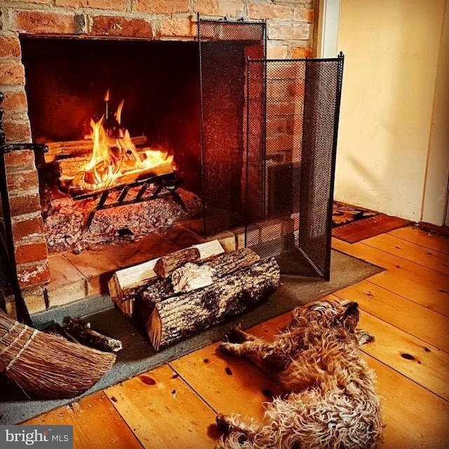 miscellaneous room with hardwood / wood-style floors and a fireplace