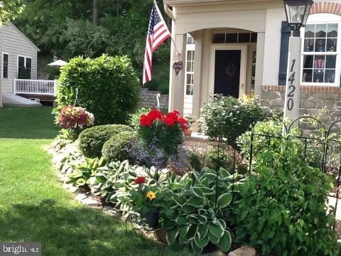 view of exterior entry with a yard