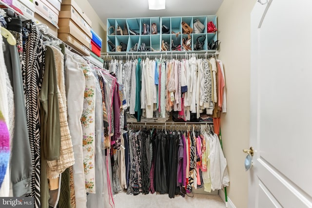 walk in closet featuring carpet