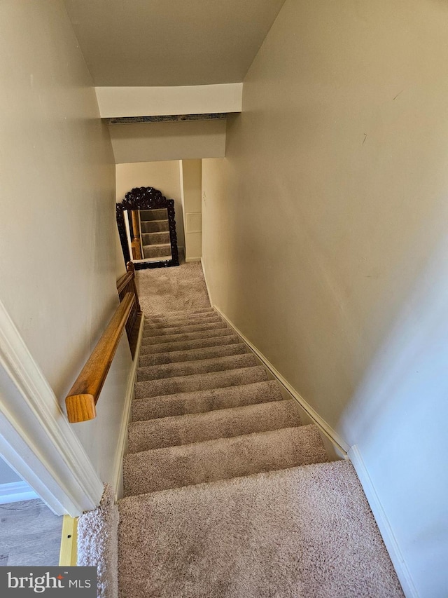 stairway with carpet floors