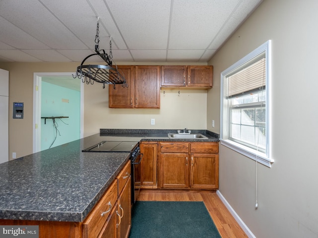 kitchen featuring light hardwood / wood-style floors, black range with electric cooktop, sink, and a drop ceiling