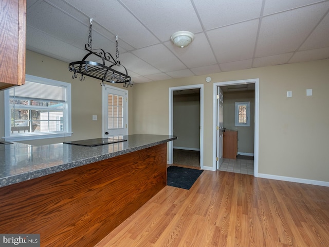 kitchen featuring black electric stovetop, a paneled ceiling, and light hardwood / wood-style flooring