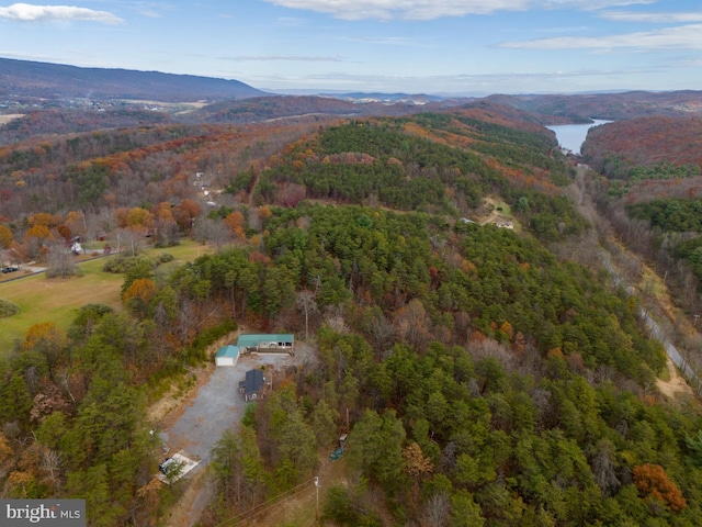 birds eye view of property featuring a mountain view