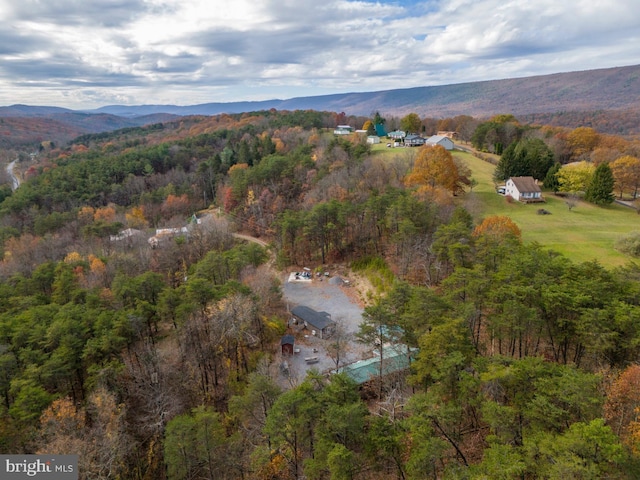 birds eye view of property featuring a mountain view