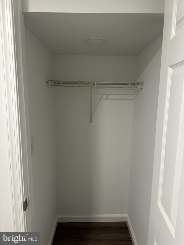 walk in closet with dark hardwood / wood-style flooring