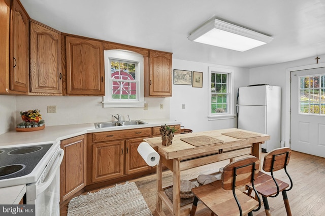 kitchen featuring white appliances, light hardwood / wood-style floors, and sink