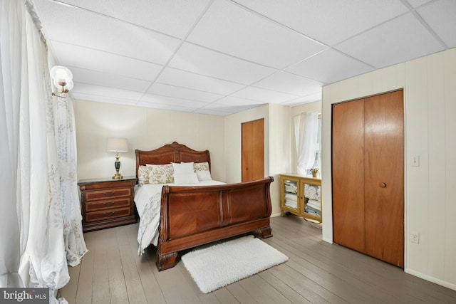 bedroom with a closet, hardwood / wood-style flooring, and a drop ceiling