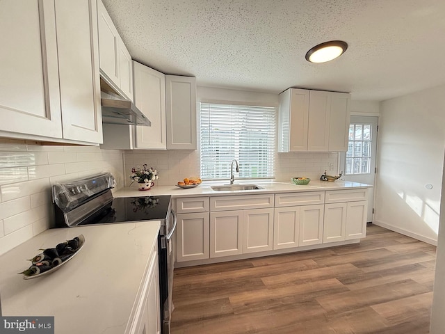 kitchen with a wealth of natural light, stainless steel electric range, and white cabinetry