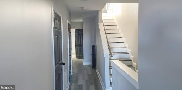 hall featuring dark hardwood / wood-style floors