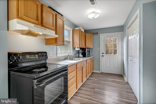 kitchen with light hardwood / wood-style floors, black / electric stove, sink, and a healthy amount of sunlight