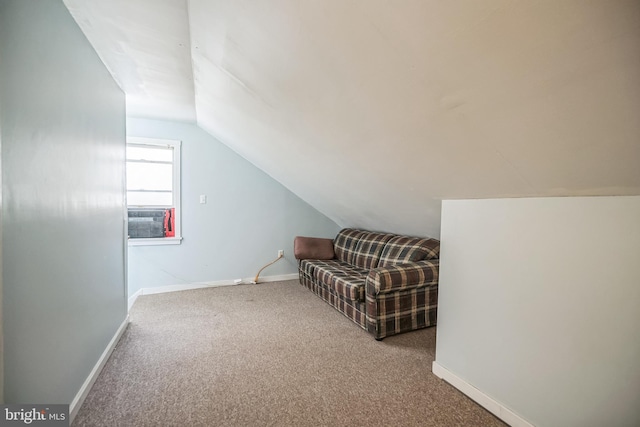 additional living space featuring vaulted ceiling and carpet floors