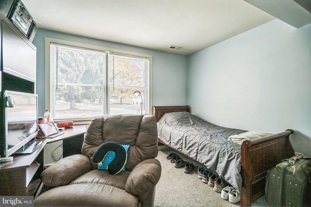 bedroom with carpet