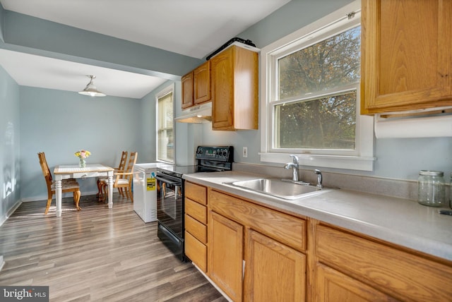 kitchen with black electric range oven, light hardwood / wood-style flooring, and sink