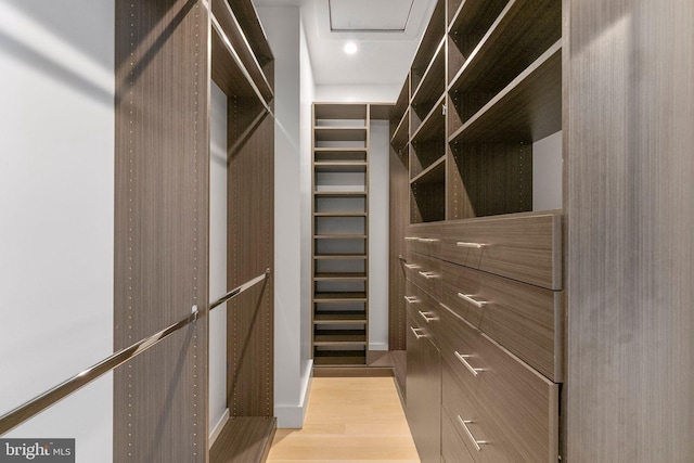 spacious closet with light hardwood / wood-style floors