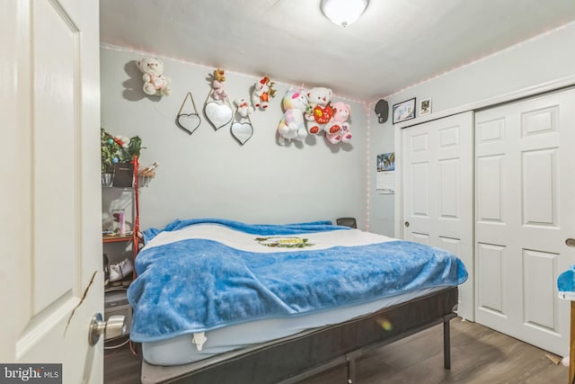 bedroom featuring a closet and hardwood / wood-style flooring