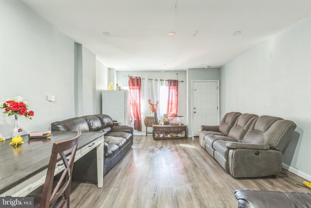 living room with light hardwood / wood-style flooring