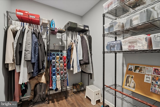 walk in closet with hardwood / wood-style floors