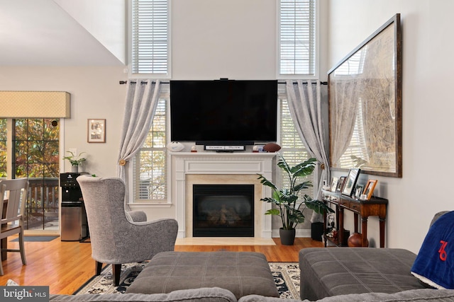 living room with wood-type flooring and a healthy amount of sunlight