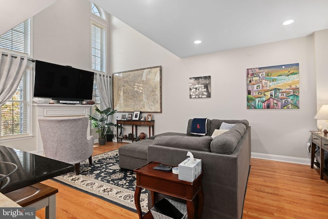 living room featuring light hardwood / wood-style floors