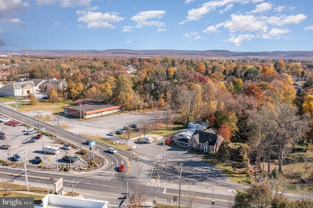 bird's eye view featuring a view of trees