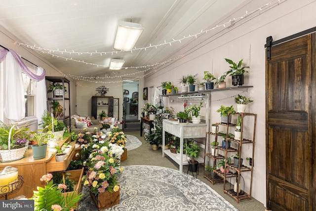 carpeted dining room featuring a barn door