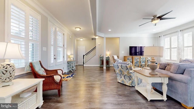 living room with ornamental molding, dark wood-type flooring, and ceiling fan