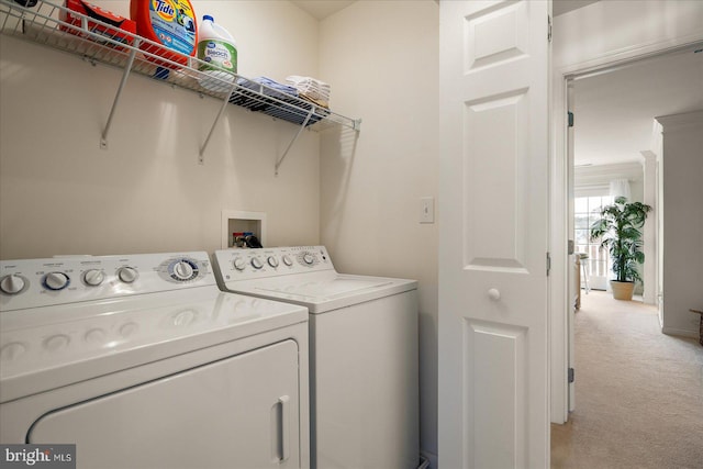 washroom featuring carpet and independent washer and dryer