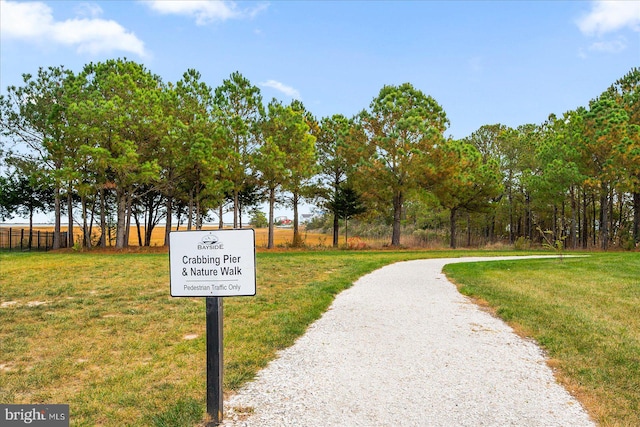 view of community with a yard