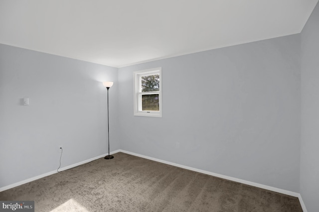 unfurnished room featuring carpet