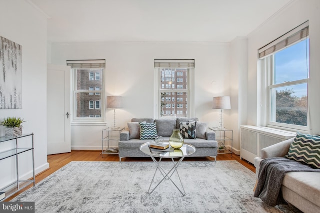 living room featuring radiator heating unit, hardwood / wood-style flooring, and crown molding