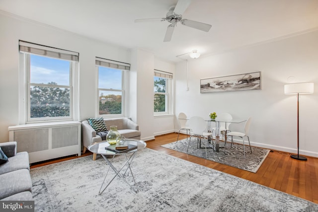 living room with radiator heating unit, wood-type flooring, a healthy amount of sunlight, and ceiling fan