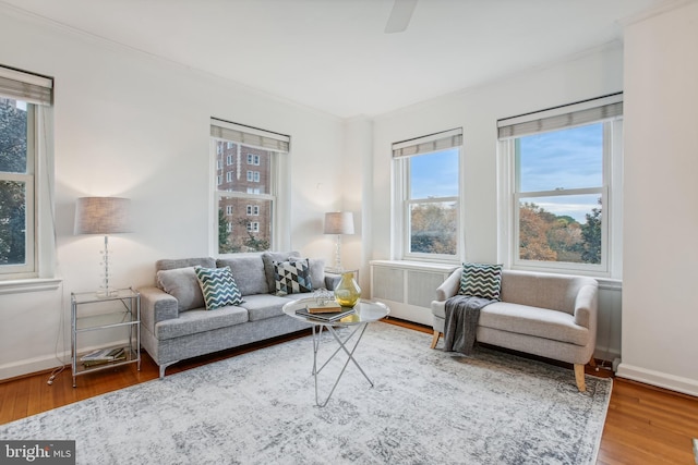 living room featuring hardwood / wood-style flooring and crown molding