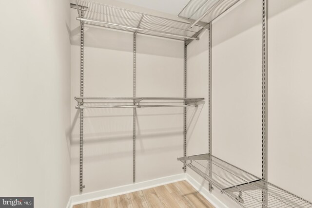 walk in closet featuring wood-type flooring