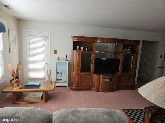 living room with carpet floors