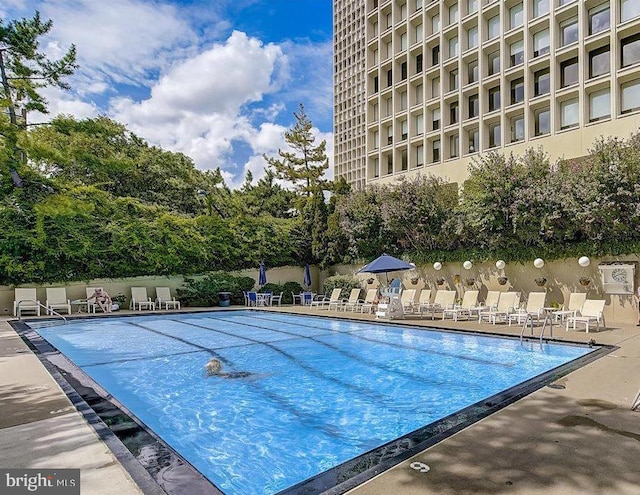 view of swimming pool