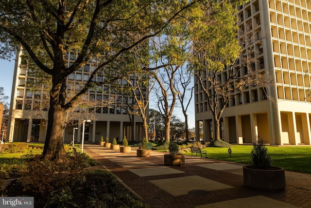 view of community featuring a lawn