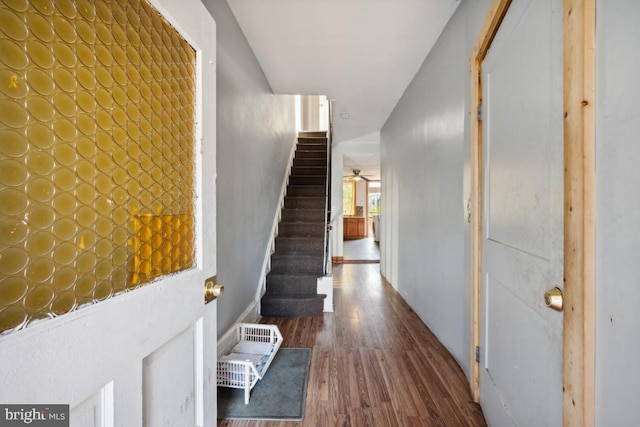 entrance foyer featuring hardwood / wood-style flooring and ceiling fan