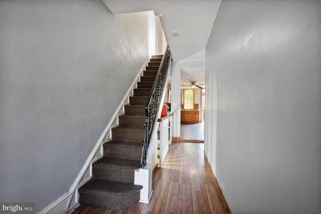 stairway featuring hardwood / wood-style floors and ceiling fan