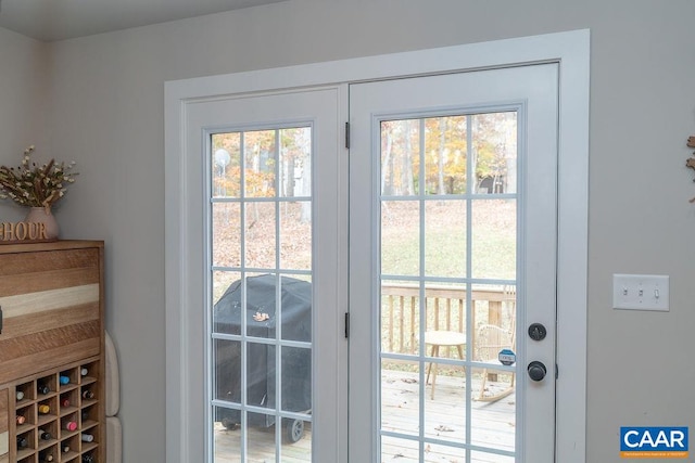 entryway with a healthy amount of sunlight